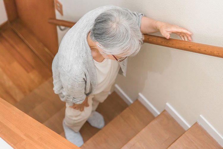 ロコモティブシンドロームイメージ